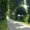 Tour 16: NP - Schaalsee